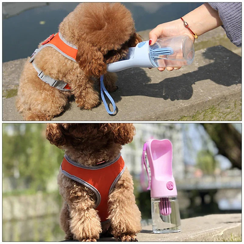 Gourde Nomade Anti-Fuite pour Chien – Hydratation Facile en Promenade | Bianca & Cie