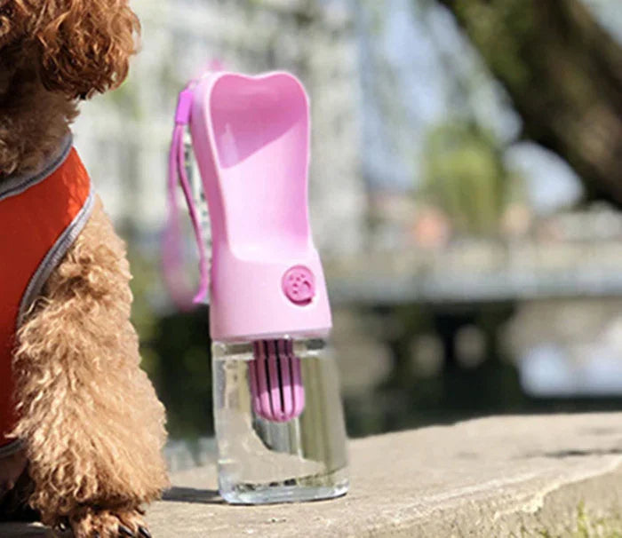 Gourde Nomade Anti-Fuite pour Chien – Hydratation Facile en Promenade | Bianca & Cie