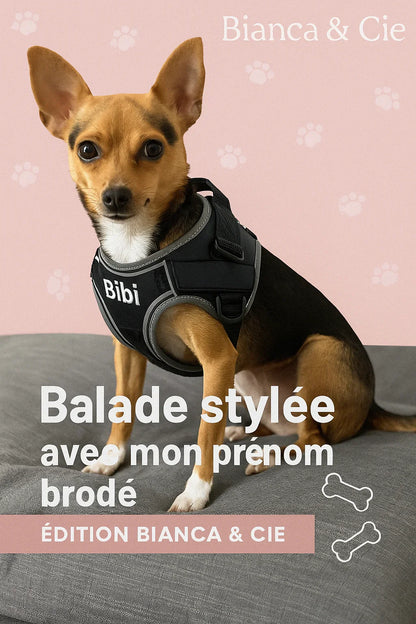 Harnais Réfléchissant Personnalisé – Confort & Sécurité pour Chien